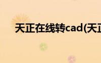 天正在线转cad(天正转cad转换器免费)