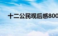 十二公民观后感800字(十二公民观后感)