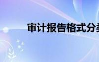 审计报告格式分类(审计报告格式)