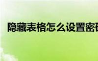 隐藏表格怎么设置密码(表格怎么设置密码)