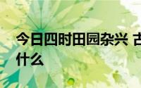 今日四时田园杂兴 古诗第二十五首的意思是什么