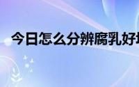 今日怎么分辨腐乳好坏（腐乳好与劣区别）