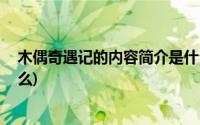 木偶奇遇记的内容简介是什么(木偶奇遇记 的内容简介是什么)