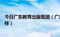 今日广东教育出版集团（广东高等教育出版社有限公司怎么样）