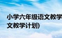 小学六年级语文教学计划上册(小学六年级语文教学计划)