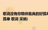 歌词没有你陪伴我真的好孤单是什么歌(没有你陪伴我真的好孤单 歌词 采纳)