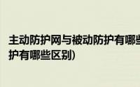 主动防护网与被动防护有哪些区别图片(主动防护网与被动防护有哪些区别)