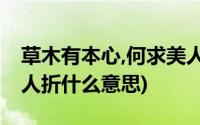 草木有本心,何求美人折?(草木有本心 何求美人折什么意思)