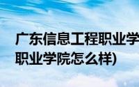 广东信息工程职业学院有多大(广东信息工程职业学院怎么样)