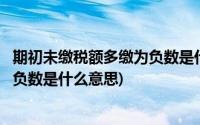 期初未缴税额多缴为负数是什么意思啊(期初未缴税额多缴为负数是什么意思)