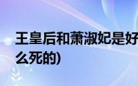 王皇后和萧淑妃是好人吗(王皇后和萧淑妃怎么死的)