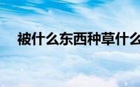 被什么东西种草什么意思(种草什么意思)