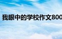 我眼中的学校作文800字(我眼中的学校作文)