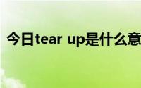 今日tear up是什么意思（Tear是什么意思）