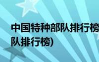 中国特种部队排行榜前二十名单(中国特种部队排行榜)