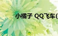 小橘子 QQ飞车(qq飞车小橘子裸)