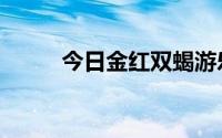 今日金红双蝎游乐园（金红双蝎）