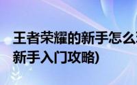 王者荣耀的新手怎么玩(王者荣耀新手怎么玩 新手入门攻略)