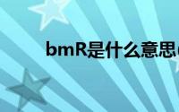 bmR是什么意思(bmr是什么意思)