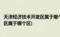 天津经济技术开发区属于哪个区法院管辖(天津经济技术开发区属于哪个区)