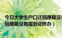 今日大学生户口迁回原籍没有报到证咋办呢（大学生户口迁回原籍没有报到证咋办）