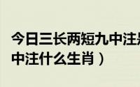 今日三长两短九中注是什么动物（三长两短九中注什么生肖）