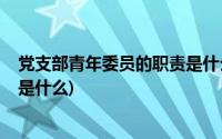 党支部青年委员的职责是什么?(党支部青年委员的主要职责是什么)