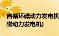 自循环磁动力发电机国内那家公司好(自循环磁动力发电机)