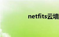 netfits云墙ios(netfits)