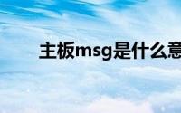 主板msg是什么意思(msg什么意思)