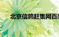 北京信鸽赶集网百度(北京信鸽赶集网)