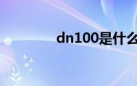 dn100是什么意思(dn100)