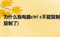 为什么我电脑ctrl c不能复制(为什么电脑键盘的CTRL C不能复制了)