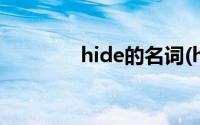 hide的名词(hide的形容词)