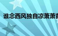 谁念西风独自凉萧萧黄叶闭疏窗是什么意思