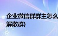 企业微信群群主怎么解散群(微信群群主怎么解散群)