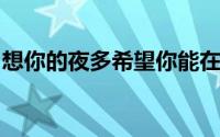 想你的夜多希望你能在我身边歌词是什么意思