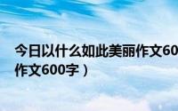 今日以什么如此美丽作文600字（以这样多美丽为题写一篇作文600字）