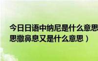 今日日语中纳尼是什么意思?（日语中的纳尼口类是什么意思撒鼻息又是什么意思）