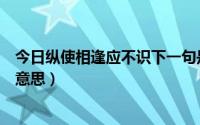 今日纵使相逢应不识下一句是什么（求解纵使相逢应不识的意思）