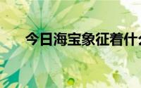 今日海宝象征着什么（海宝代表什么）