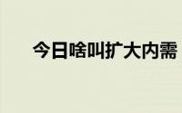 今日啥叫扩大内需（什么叫扩大内需）