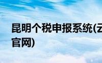 昆明个税申报系统(云南省个税申报系统下载官网)