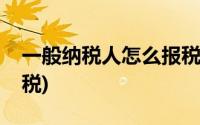 一般纳税人怎么报税步骤(一般纳税人怎么报税)