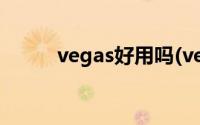 vegas好用吗(vegas和pr哪个好)