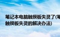 笔记本电脑触摸板失灵了(笔记本触摸板失灵怎么办 笔记本触摸板失灵的解决办法)