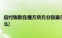 应付账款在借方贷方分别表示什么(应付账款的借贷方表示什么)