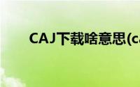 CAJ下载啥意思(caj下载是什么意思)