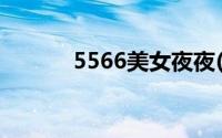 5566美女夜夜(5566美女夜夜)