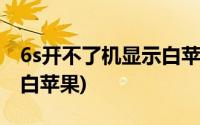 6s开不了机显示白苹果(苹果6s开机一直显示白苹果)